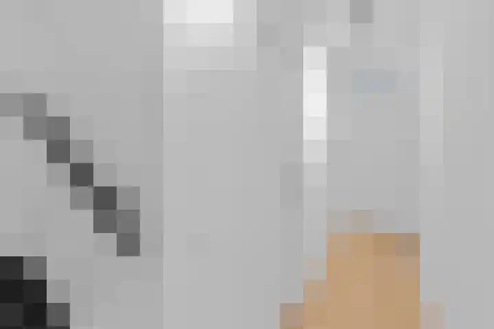 Pootlaan 10 Roosendaal thumbnail 34