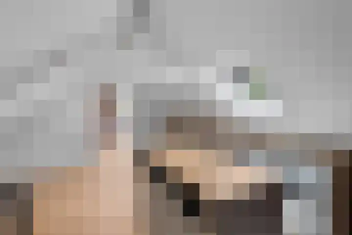 Pootlaan 10 Roosendaal thumbnail 36