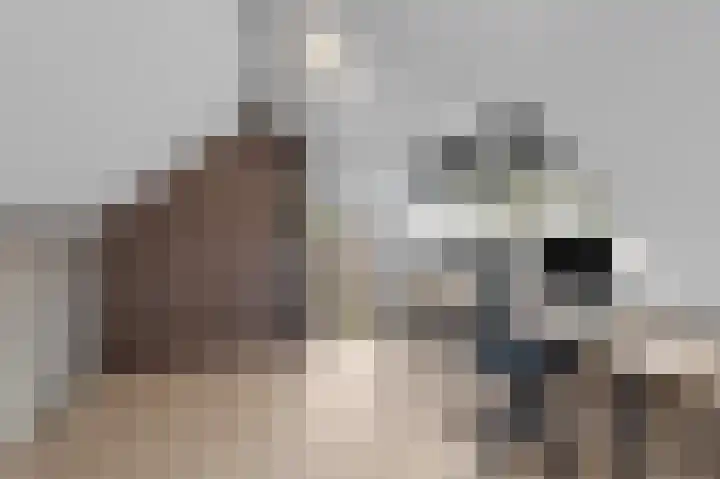 Pootlaan 10 Roosendaal thumbnail 39