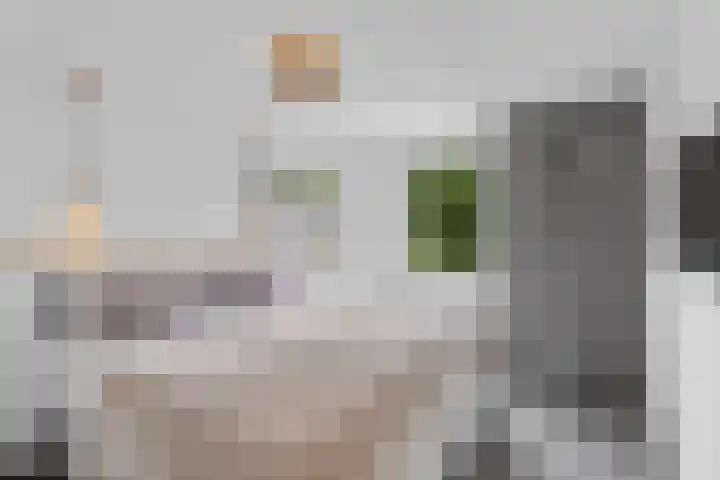Pootlaan 10 Roosendaal thumbnail 4