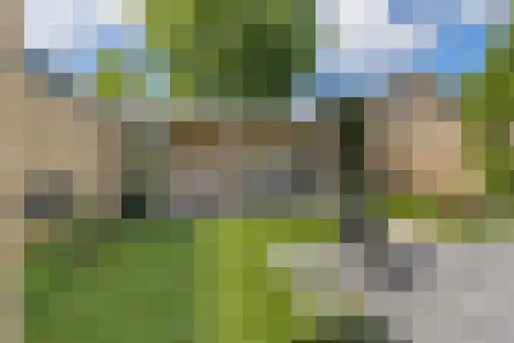 Pootlaan 10 Roosendaal thumbnail 43