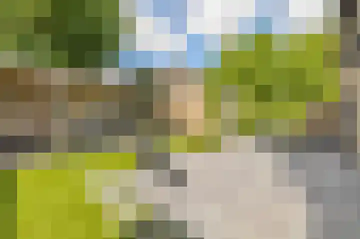 Pootlaan 10 Roosendaal thumbnail 44