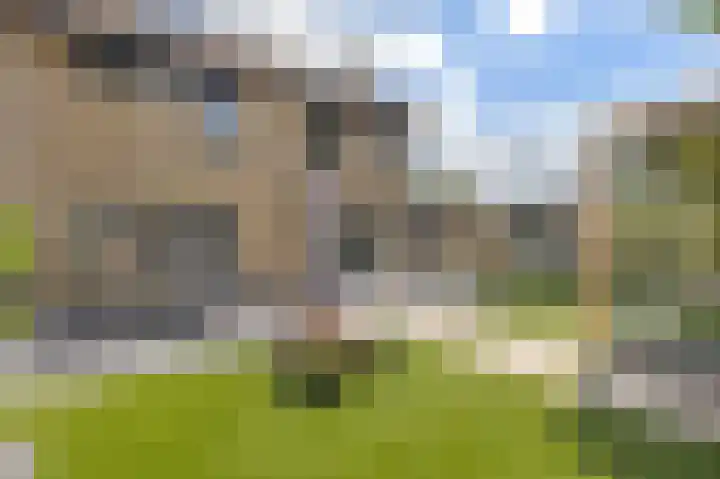 Pootlaan 10 Roosendaal thumbnail 46