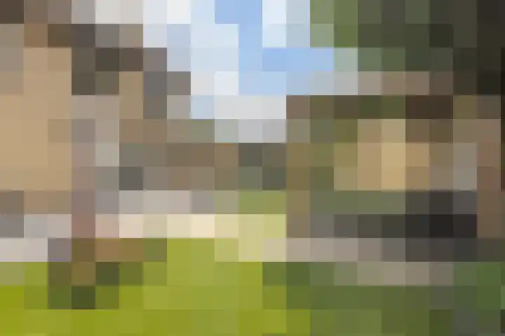 Pootlaan 10 Roosendaal thumbnail 47