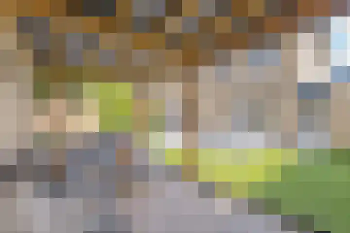 Pootlaan 10 Roosendaal thumbnail 50