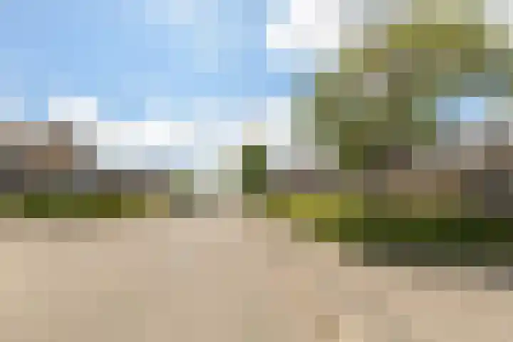Pootlaan 10 Roosendaal thumbnail 57