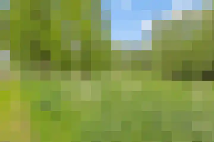 Pootlaan 10 Roosendaal thumbnail 60