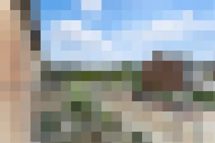 Pootstraat 6 Papendrecht thumbnail 25