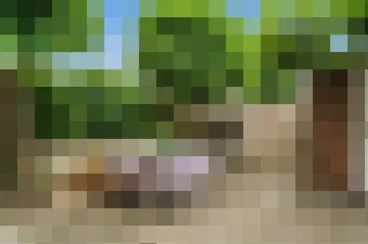 Pootstraat 6 Papendrecht thumbnail 36