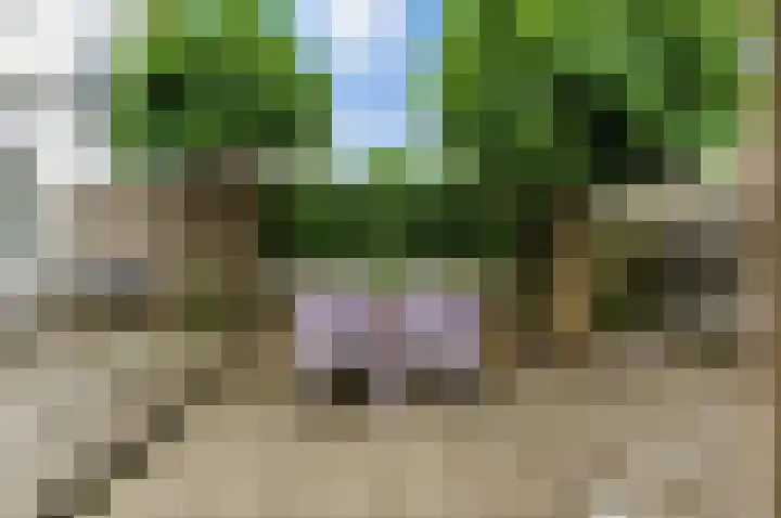 Pootstraat 6 Papendrecht thumbnail 37