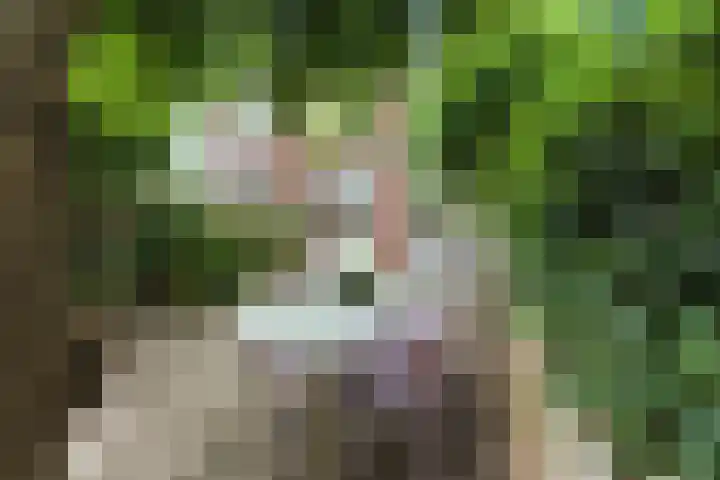 Pootstraat 6 Papendrecht thumbnail 39