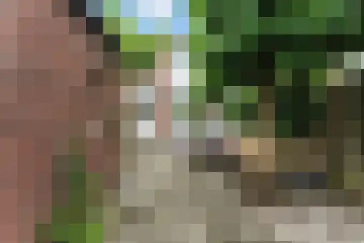 Pootstraat 6 Papendrecht thumbnail 40