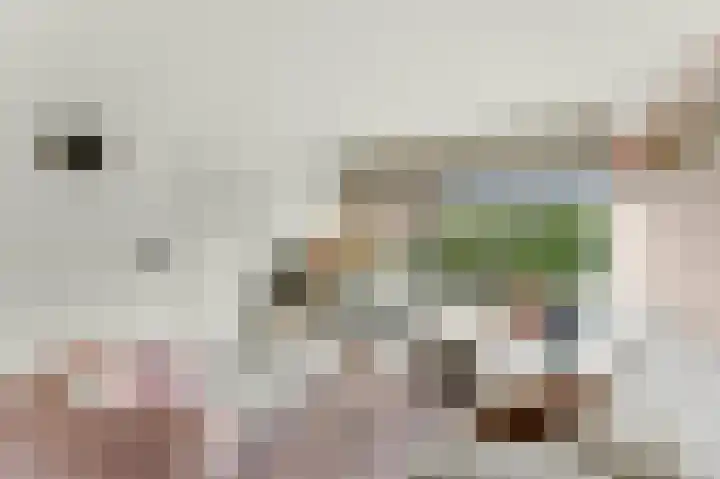 Pootstraat 6 Papendrecht thumbnail 7