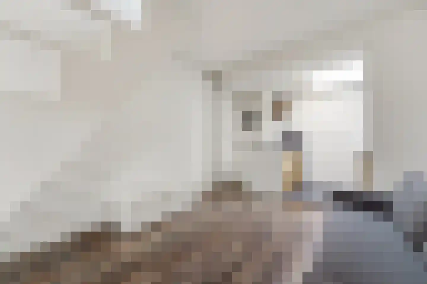 Pootstraat 82 Delft thumbnail 9