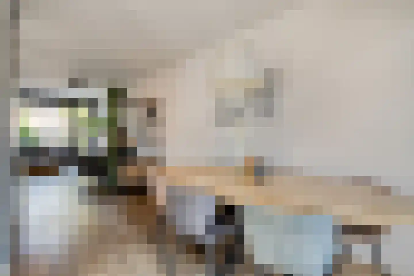 Pootvelden 11 Best thumbnail 16
