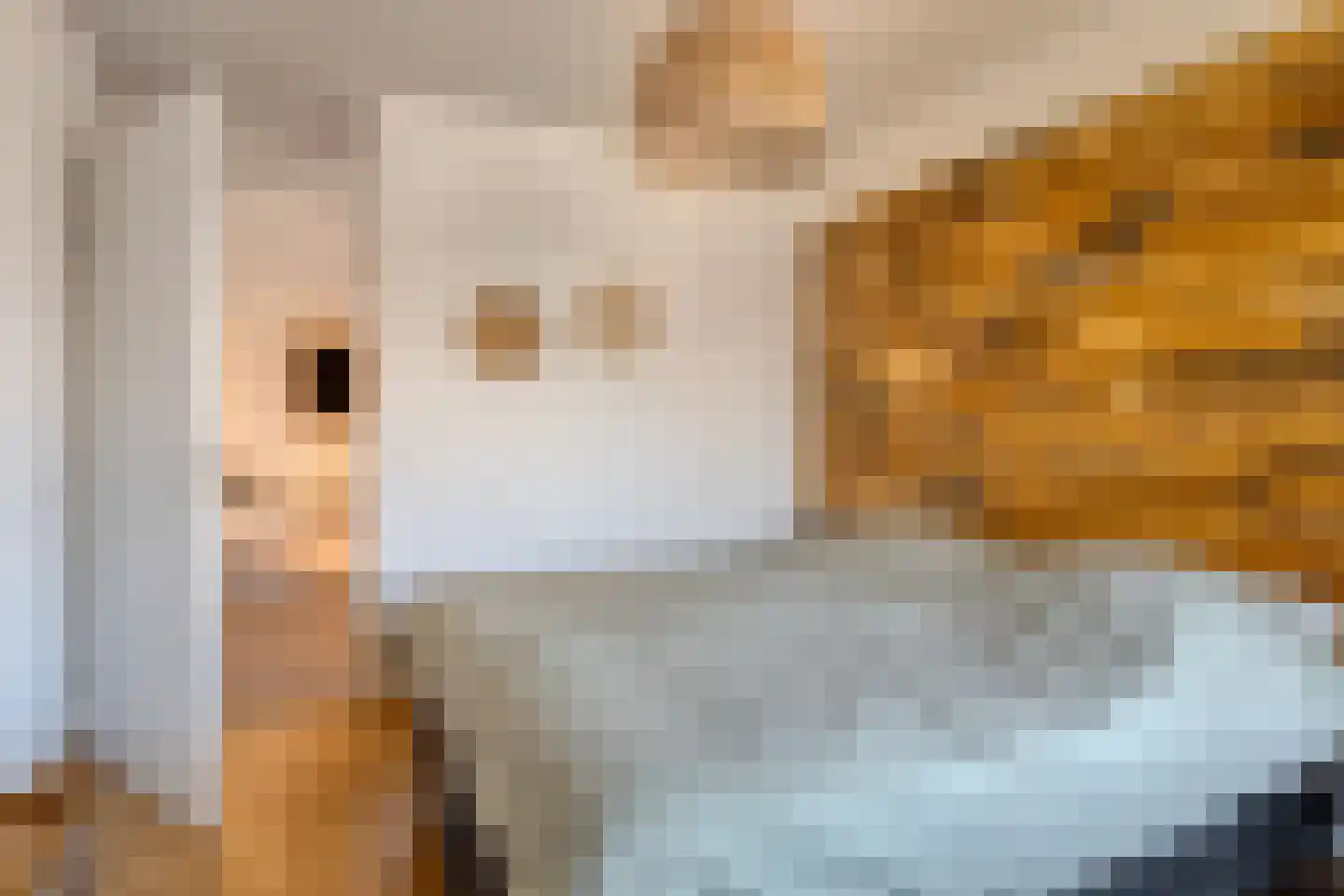 Pootvelden 11 Best thumbnail 21