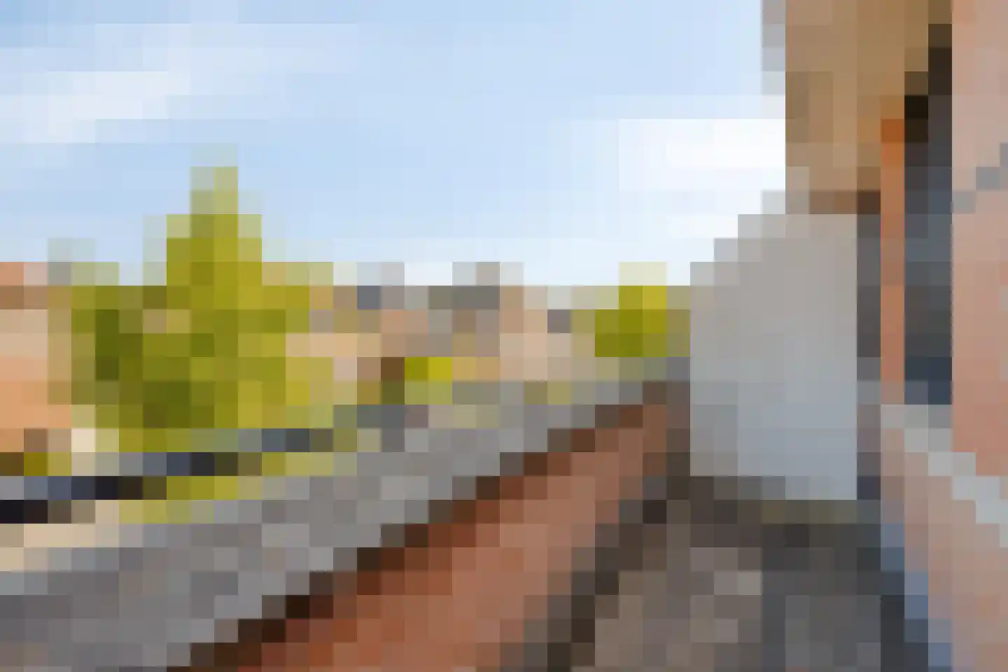 Pootvelden 11 Best thumbnail 22