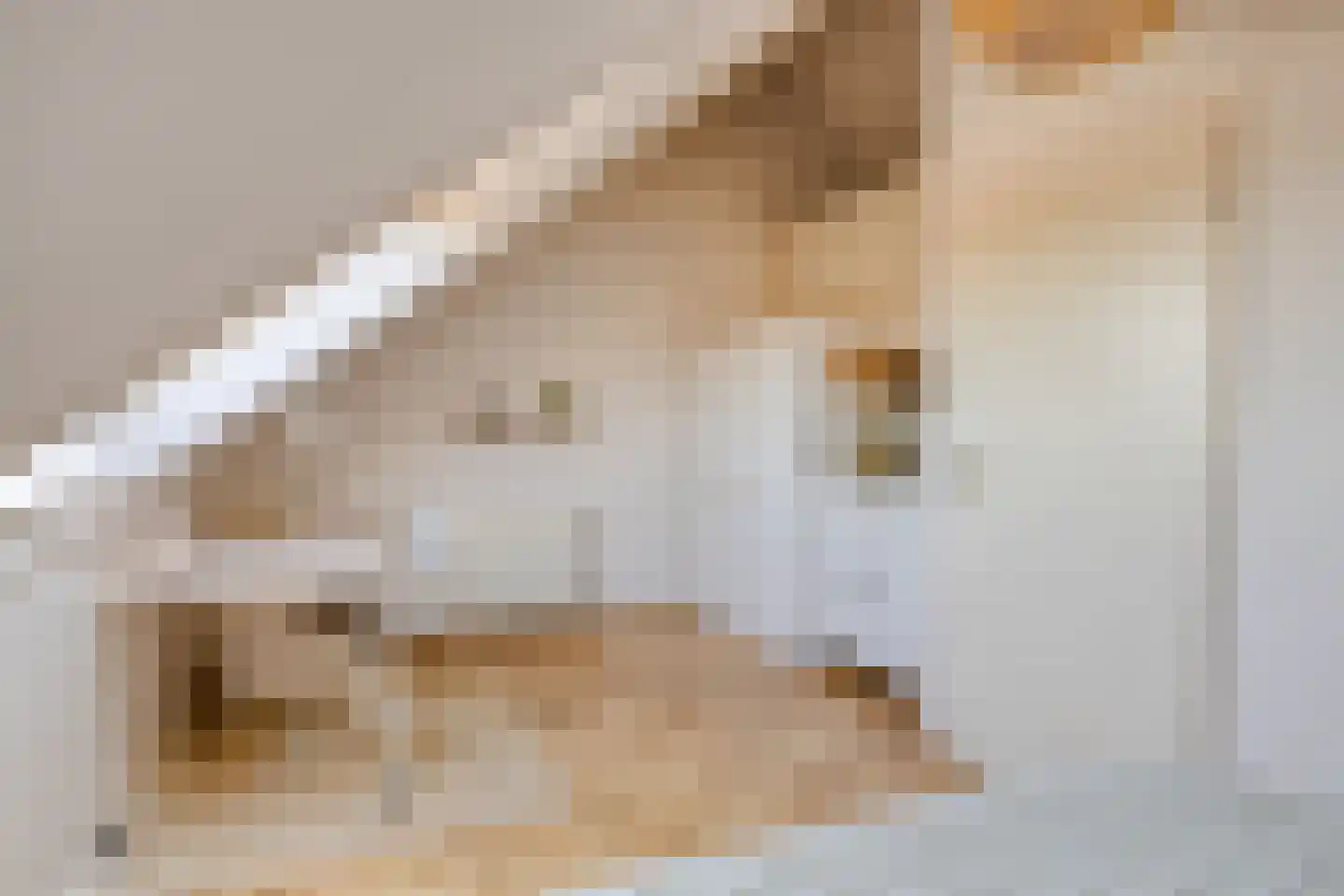 Pootvelden 11 Best thumbnail 33