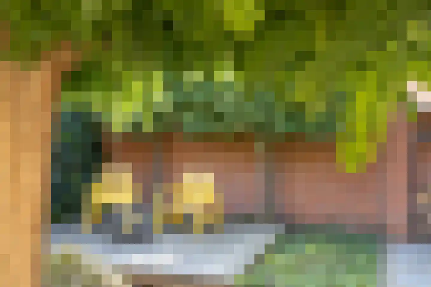 Pootvelden 11 Best thumbnail 37