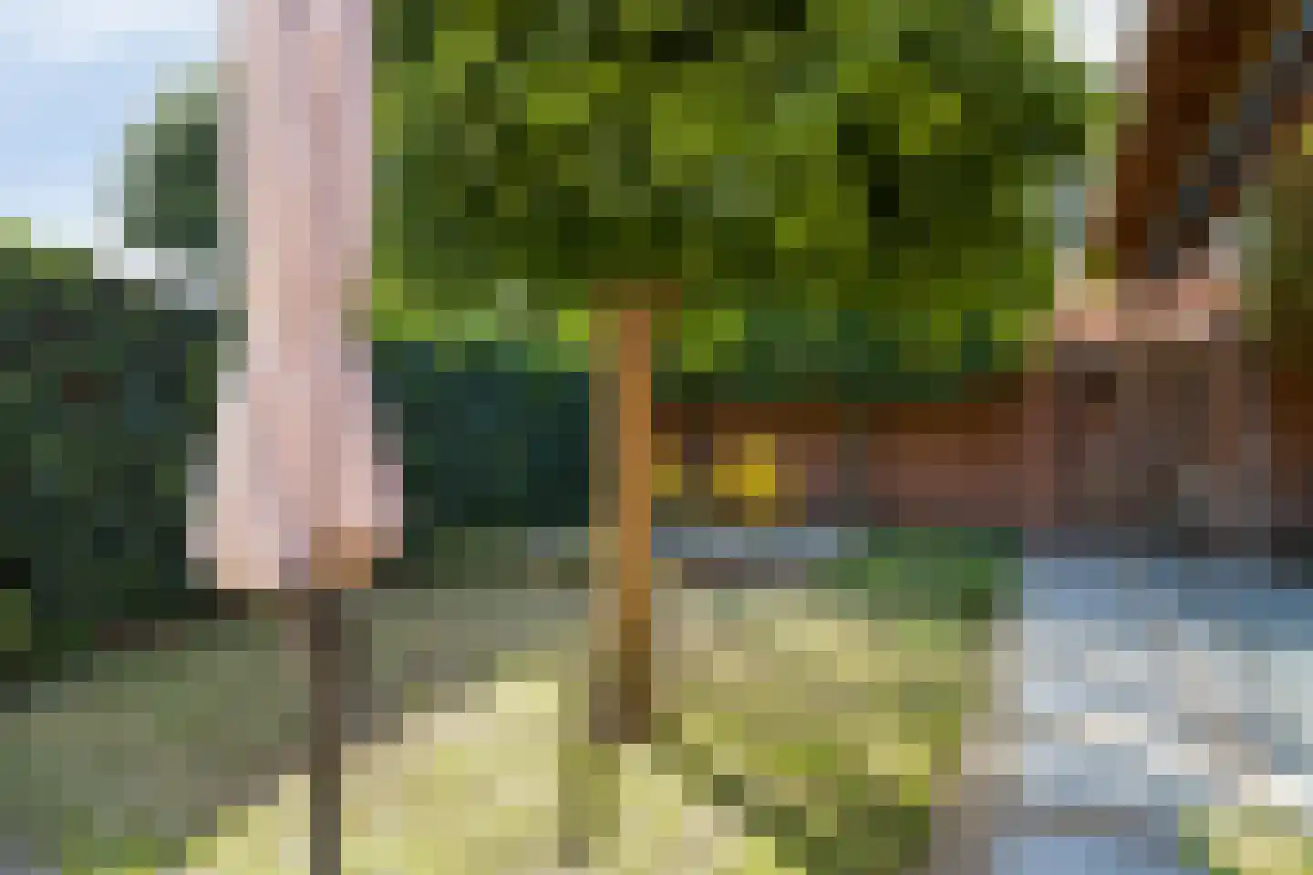 Pootvelden 11 Best thumbnail 38