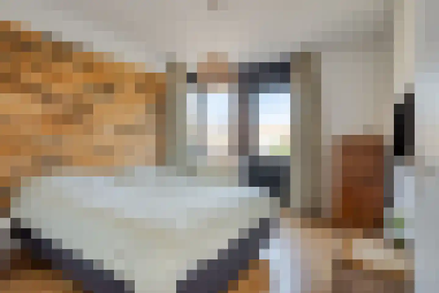 Pootvelden 11 Best thumbnail 4