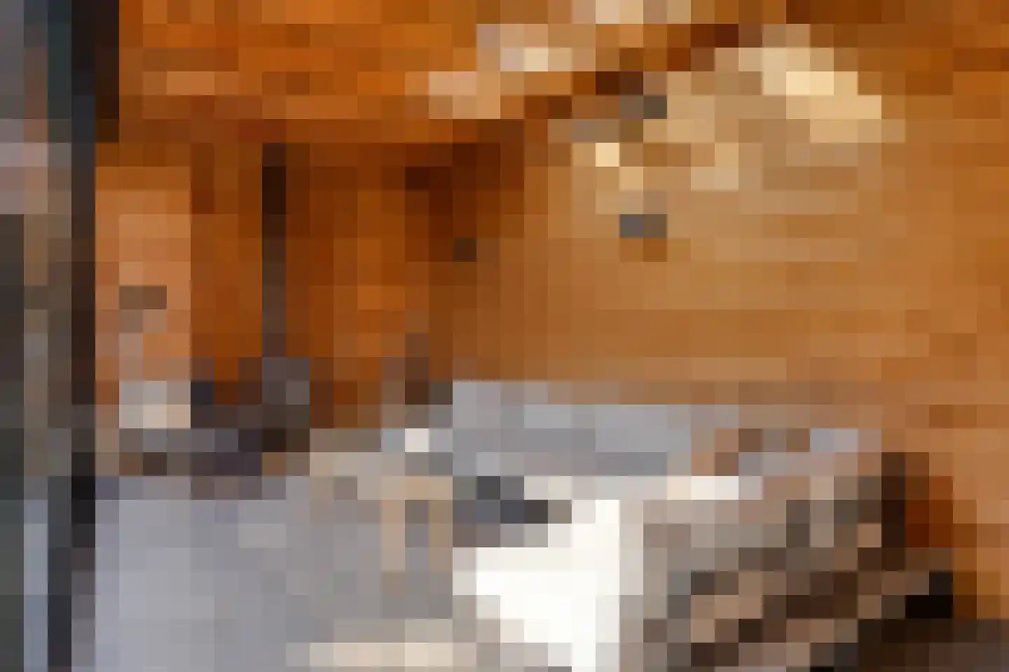 Pootvelden 11 Best thumbnail 41