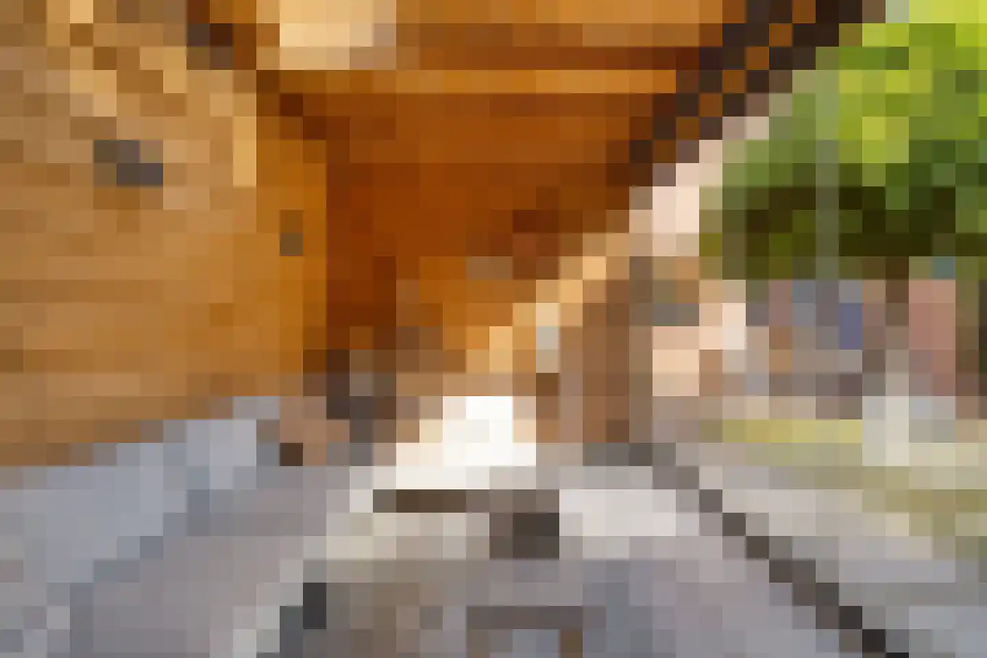 Pootvelden 11 Best thumbnail 42