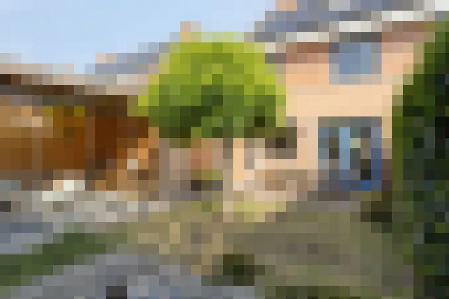 Pootvelden 11 Best thumbnail 44