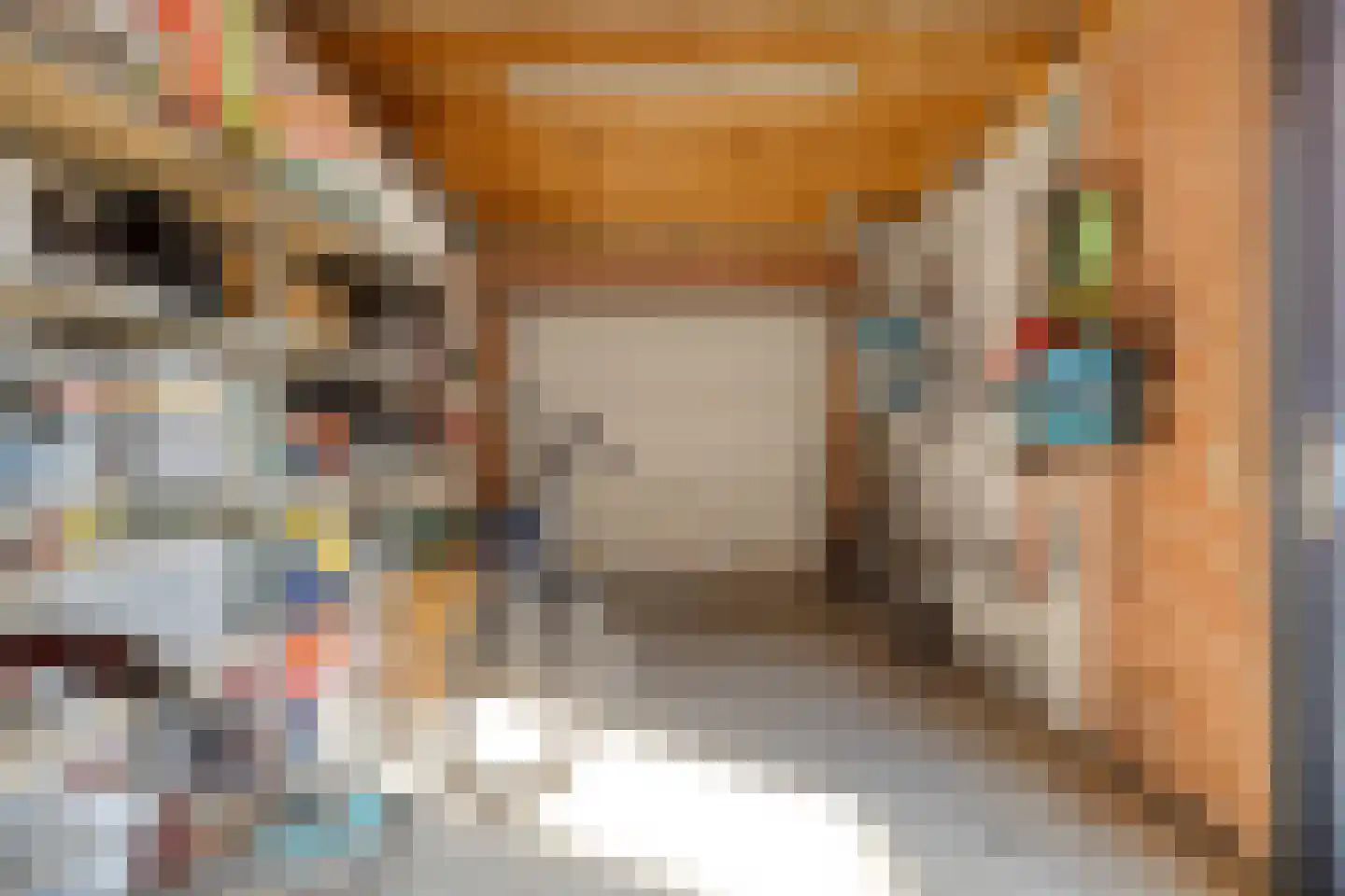 Pootvelden 11 Best thumbnail 45