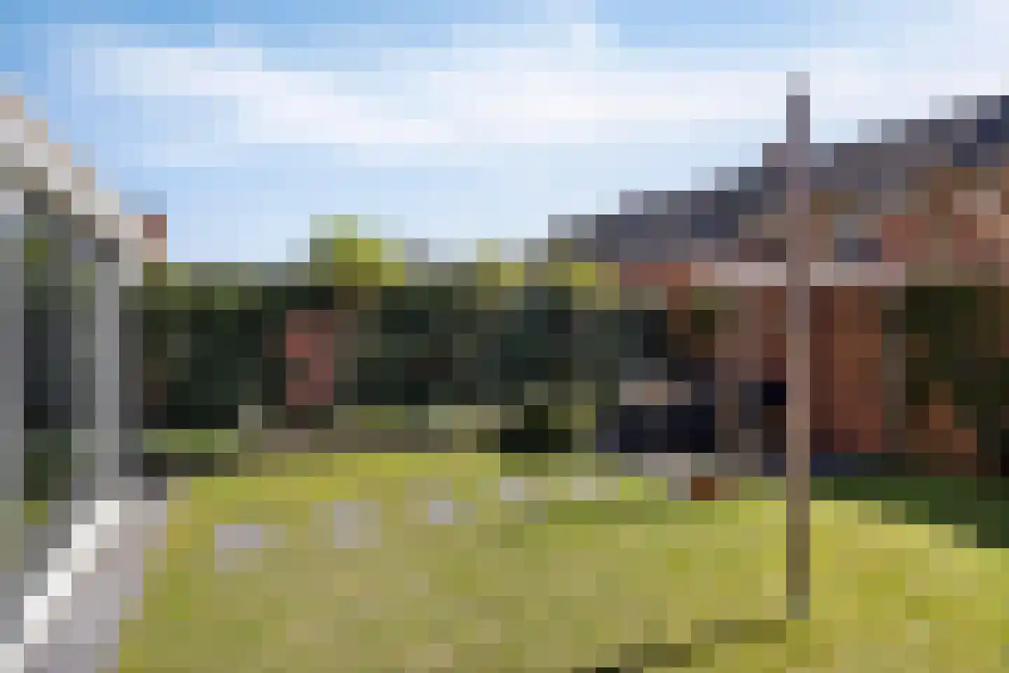 Pootvelden 15 Best thumbnail 21