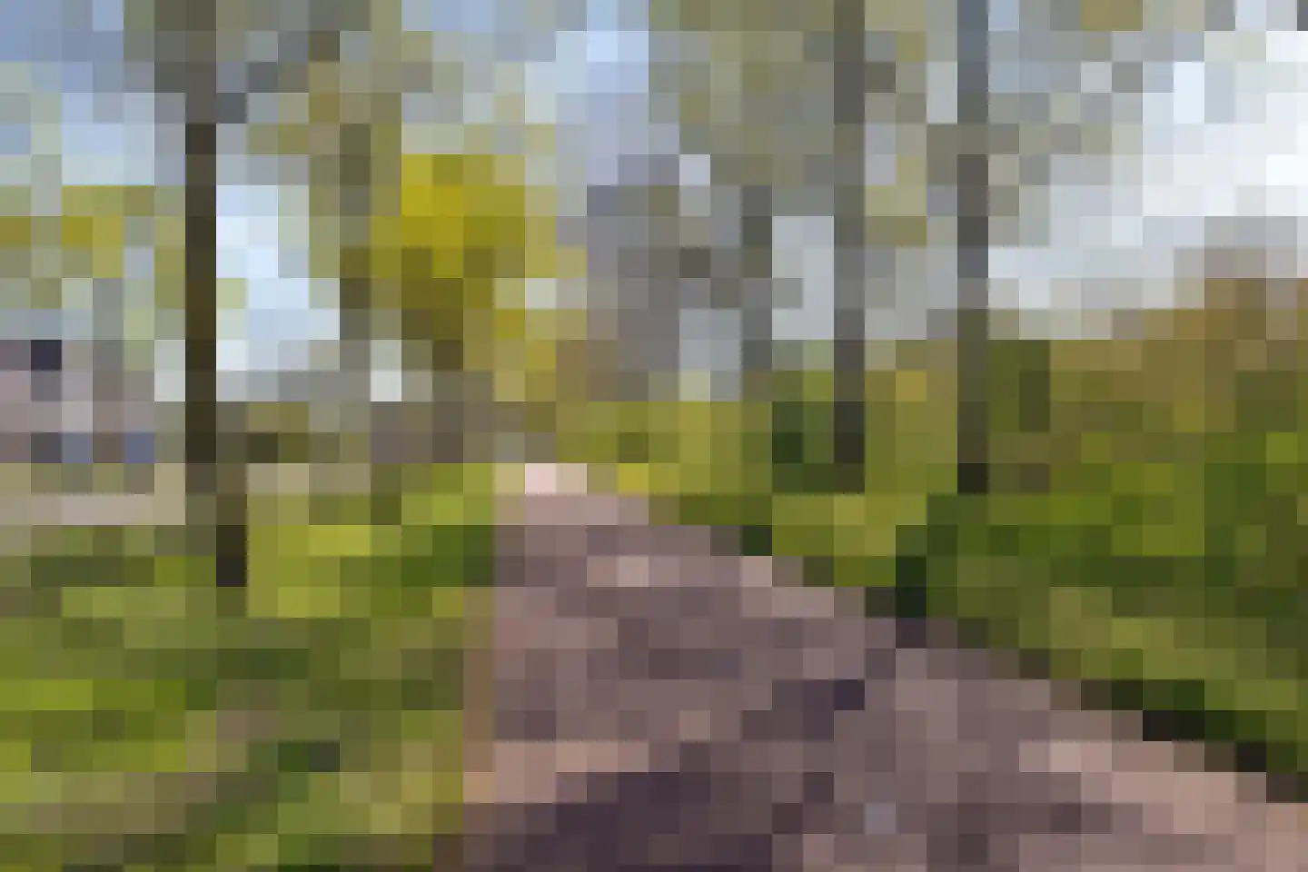 Pootvelden 15 Best thumbnail 44