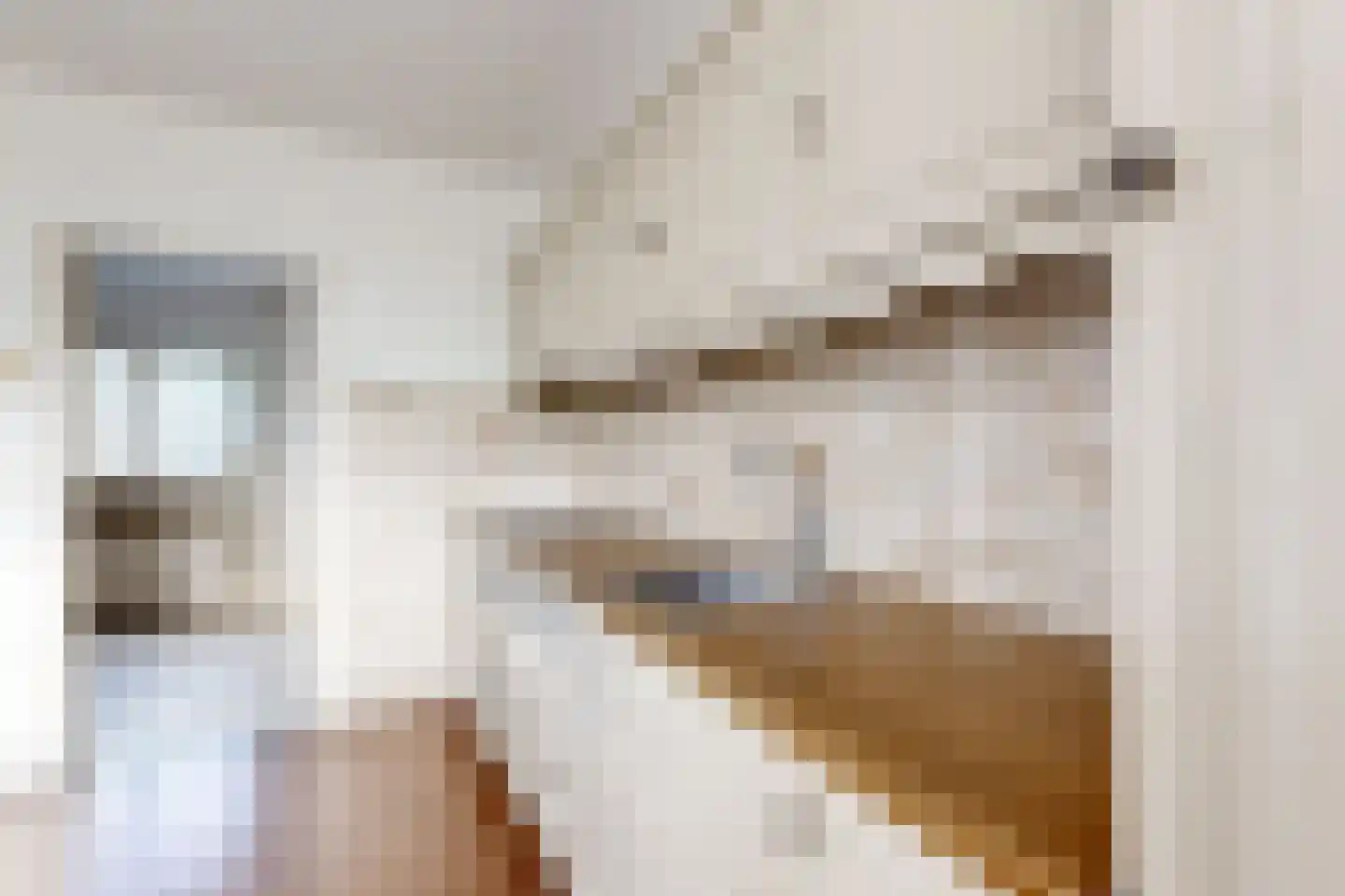 Pootweg 9 Lage Zwaluwe thumbnail 22