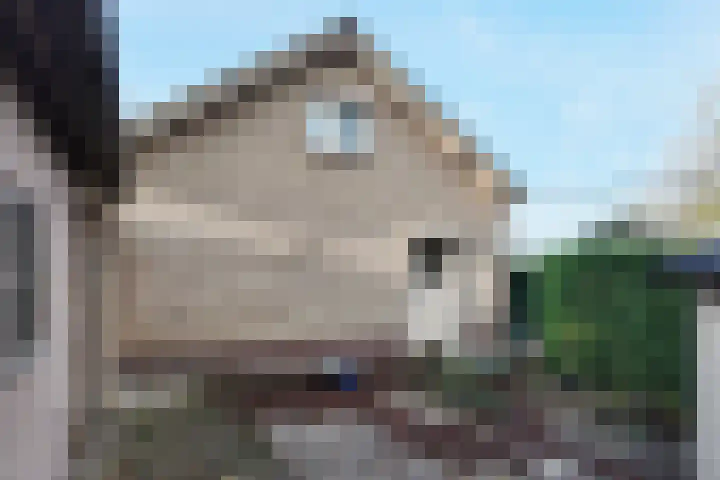 Pootweg 9 Lage Zwaluwe thumbnail 48