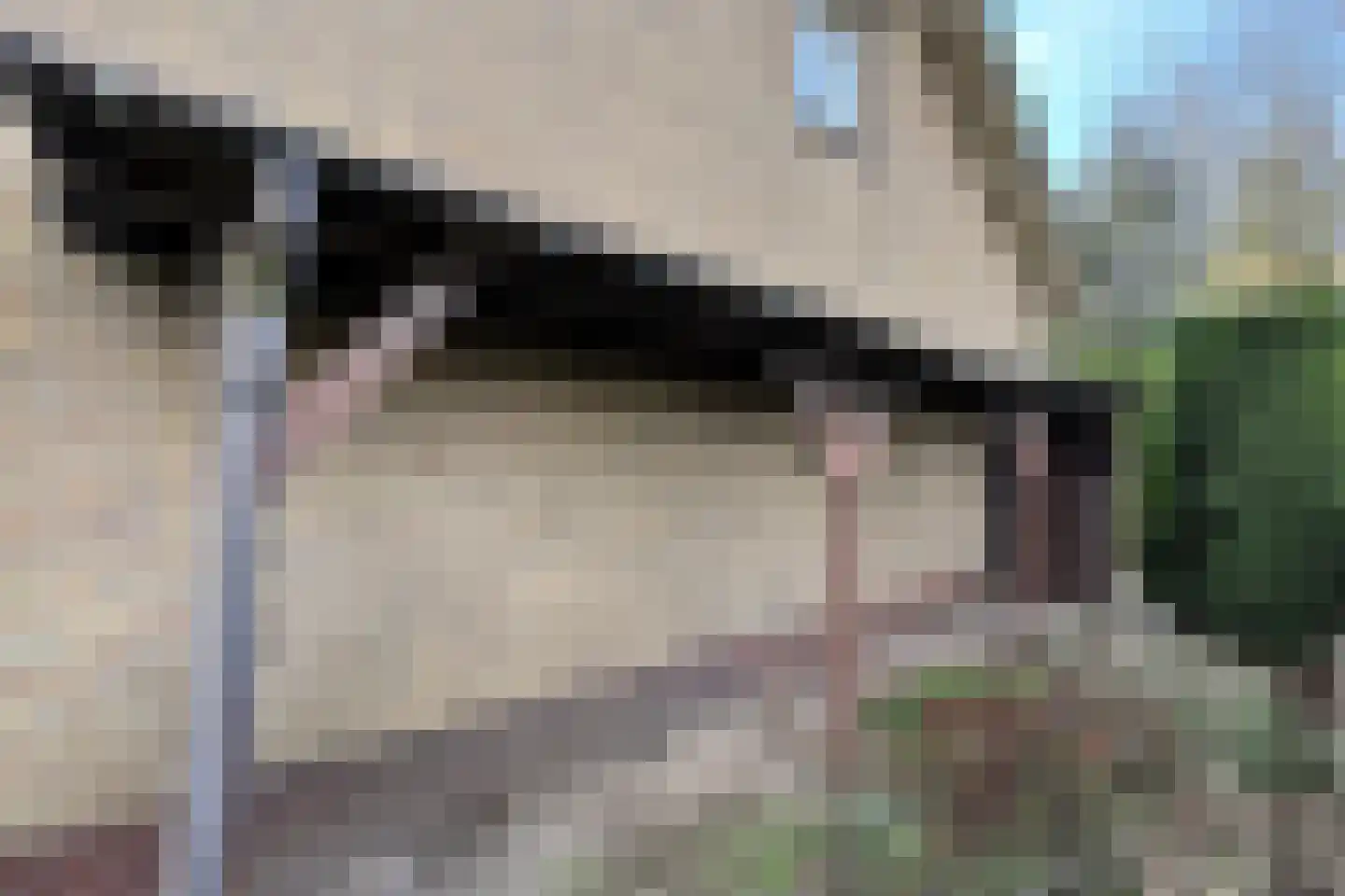 Pootweg 9 Lage Zwaluwe thumbnail 57