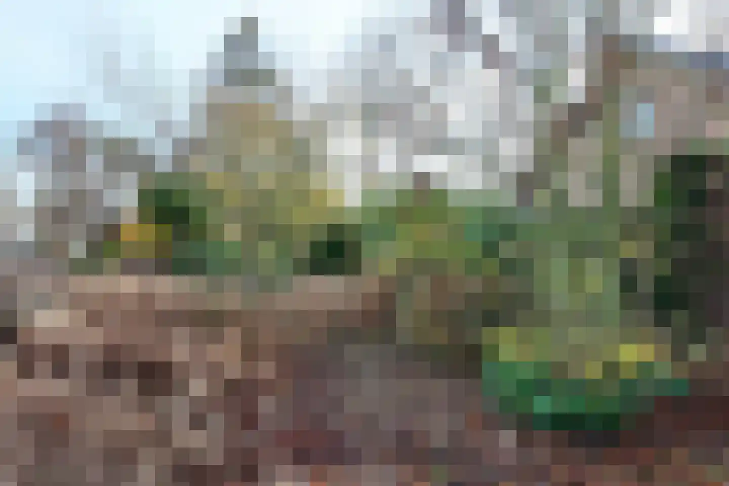 Pootweg 9 Lage Zwaluwe thumbnail 58