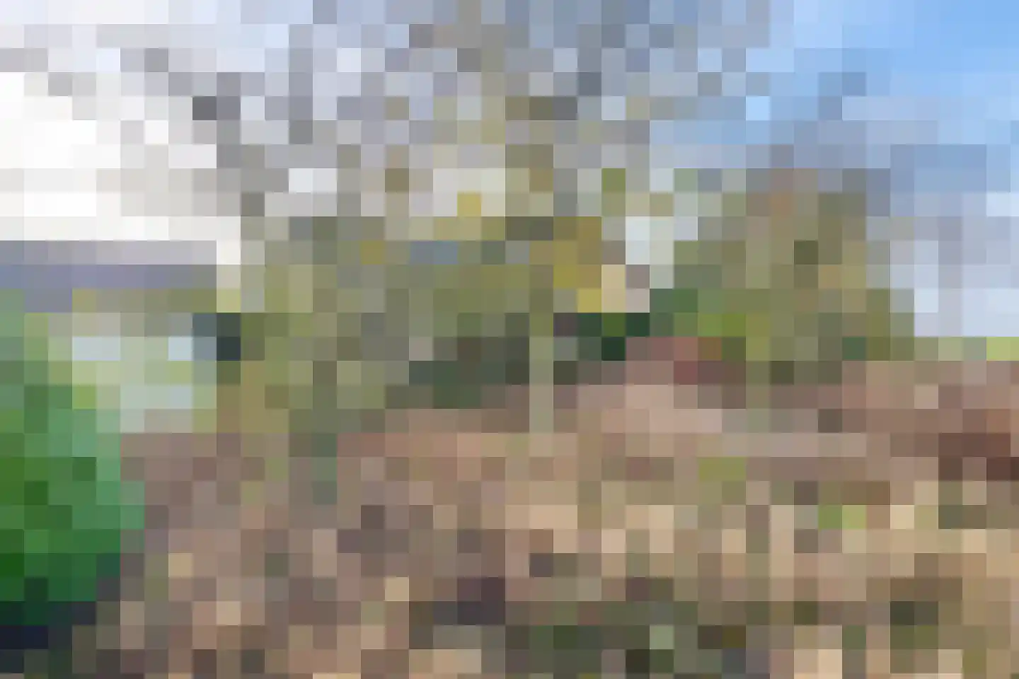 Pootweg 9 Lage Zwaluwe thumbnail 59