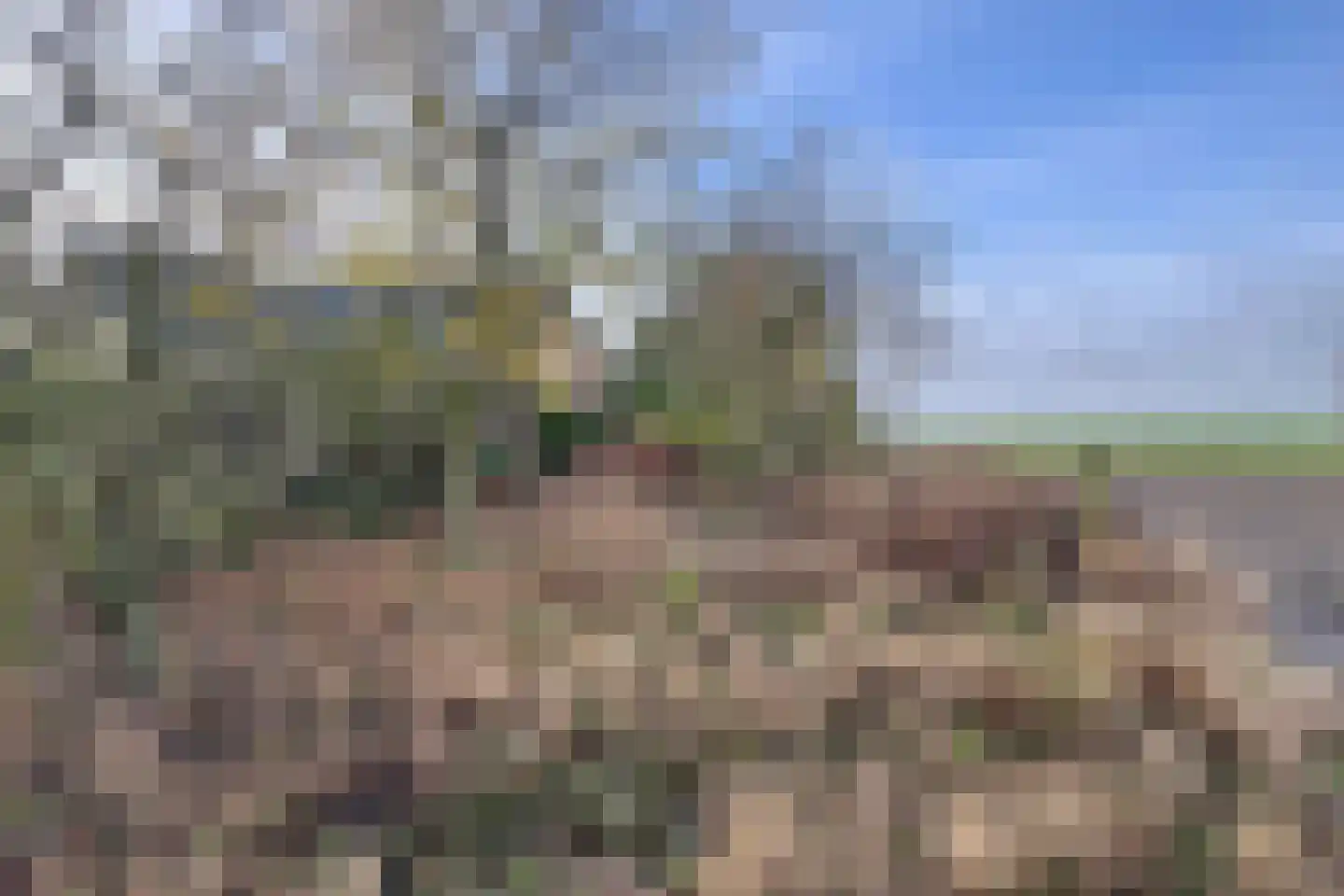 Pootweg 9 Lage Zwaluwe thumbnail 60