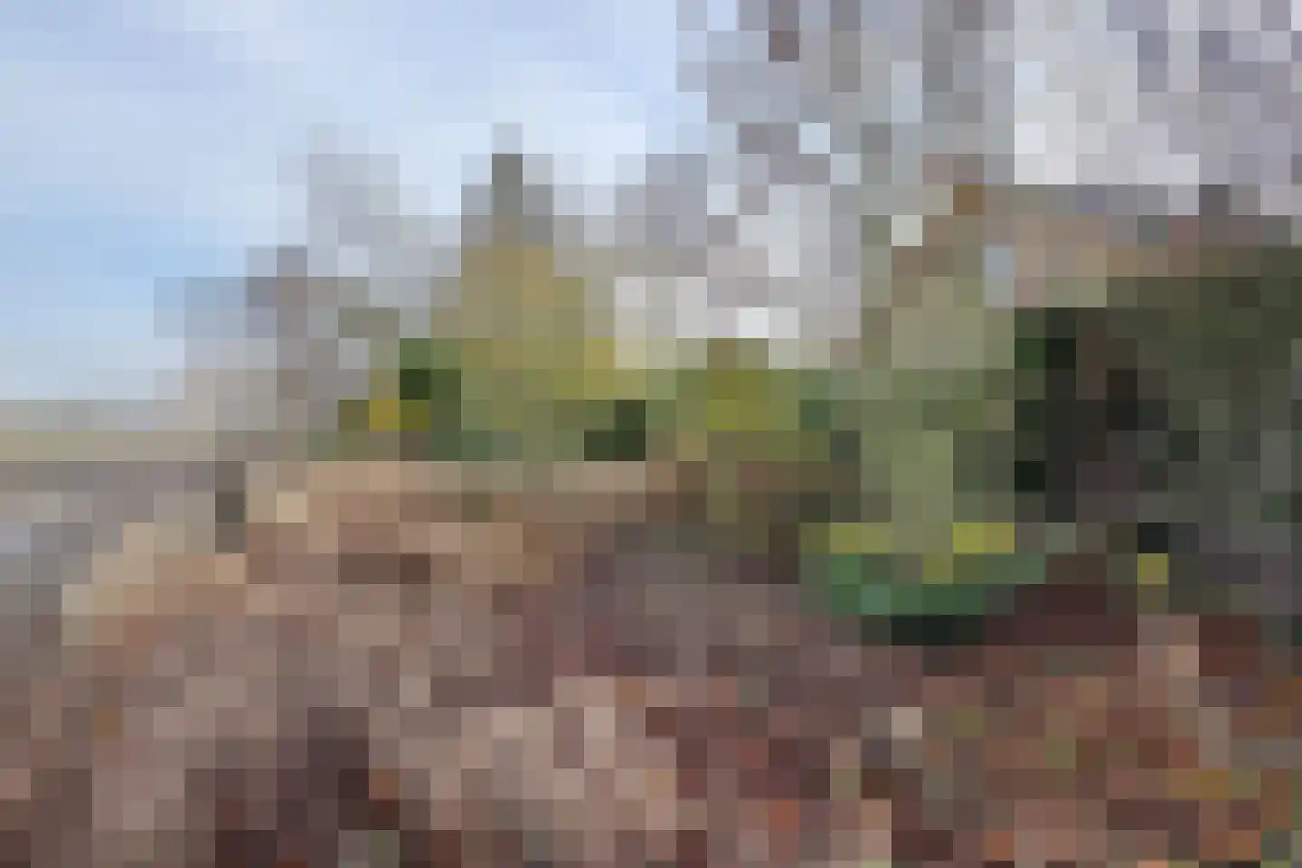 Pootweg 9 Lage Zwaluwe thumbnail 61