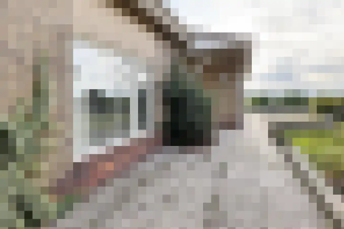 Pootweg 9 Lage Zwaluwe thumbnail 67