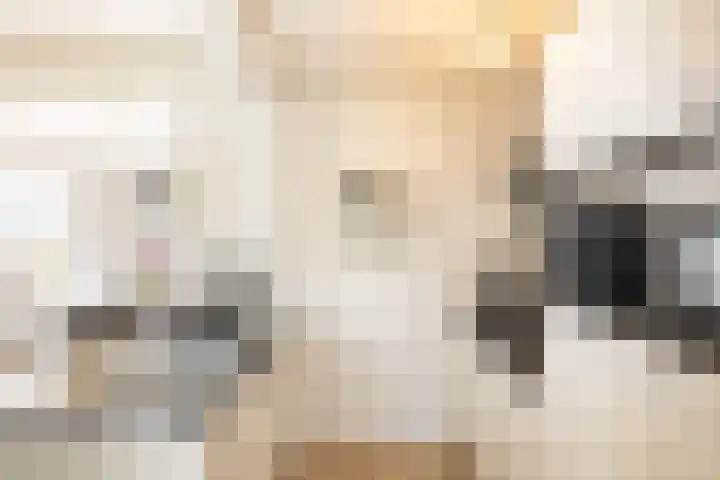Pop Dijkemaweg 18 Groningen thumbnail 10