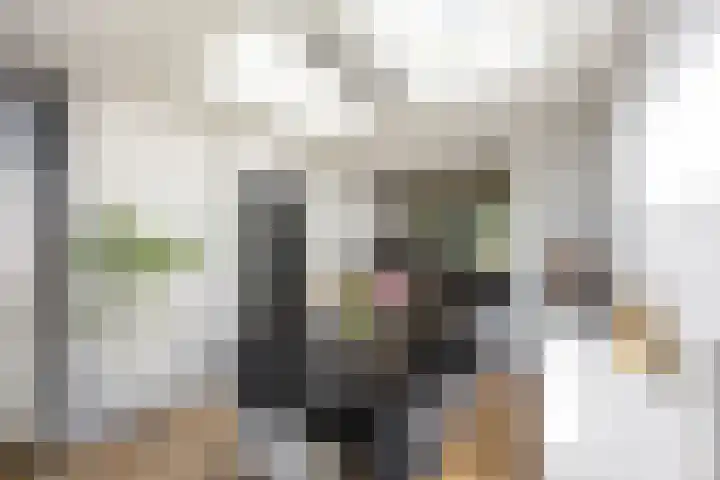 Pop Dijkemaweg 18 Groningen thumbnail 13