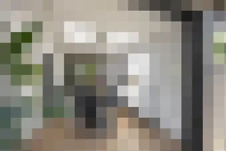 Pop Dijkemaweg 18 Groningen thumbnail 14