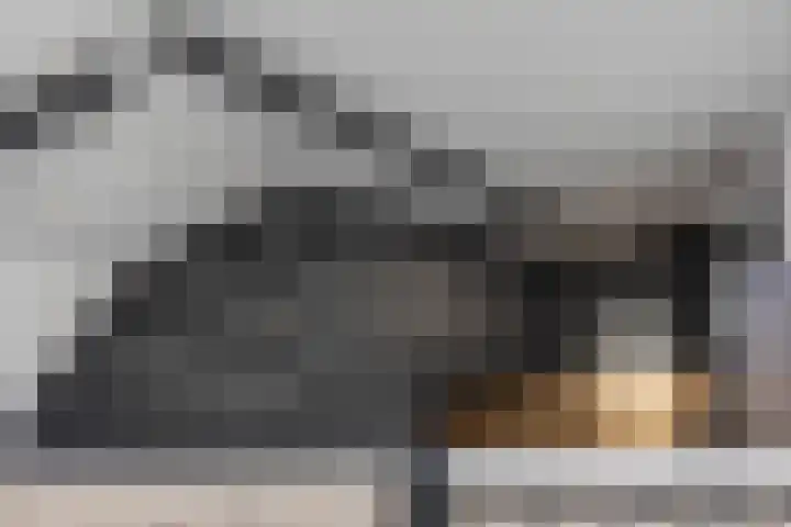 Pop Dijkemaweg 18 Groningen thumbnail 21