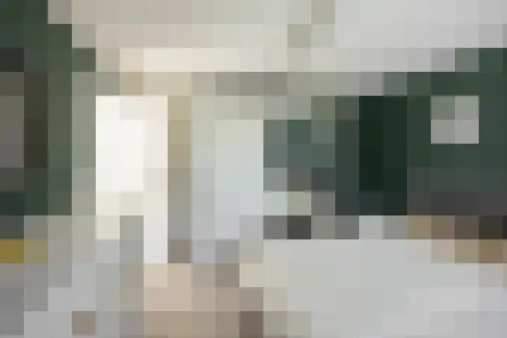 Pop Dijkemaweg 18 Groningen thumbnail 25