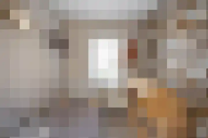 Pop Dijkemaweg 18 Groningen thumbnail 32