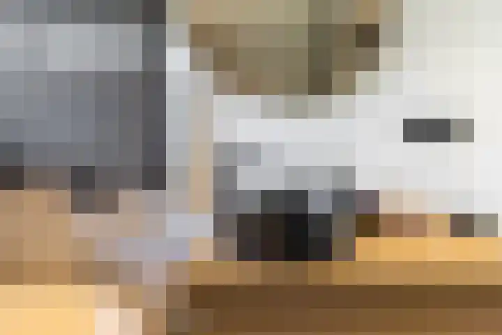 Pop Dijkemaweg 18 Groningen thumbnail 34