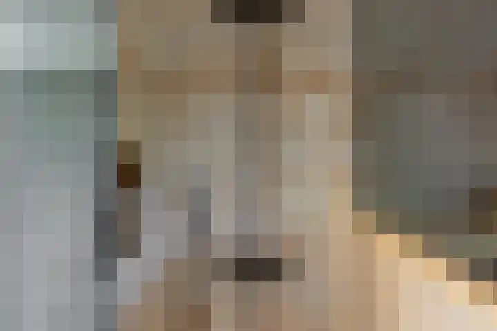 Pop Dijkemaweg 18 Groningen thumbnail 35