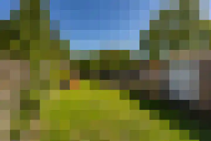 Pop Dijkemaweg 18 Groningen thumbnail 38