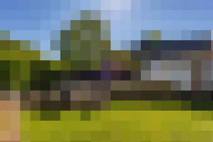 Pop Dijkemaweg 18 Groningen thumbnail 39