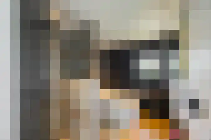 Pop Dijkemaweg 18 Groningen thumbnail 4